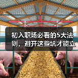 初入职场必看的5大法则，避开这些坑才能立足（图3）