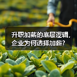 升职加薪的底层逻辑,企业为何选择加薪?(图1) 升职加薪的底层逻辑,企业为何选择加薪?(图1)