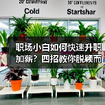 职场小白如何快速升职加薪?四招教你脱颖而出(图1) 职场小白如何快速升职加薪?四招教你脱颖而出(图1)