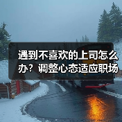 遇到不喜欢的上司怎么办?调整心态适应职场(图1) 遇到不喜欢的上司怎么办?调整心态适应职场(图1)