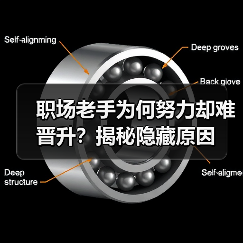 职场老手为何努力却难晋升?揭秘隐藏原因(图2) 职场老手为何努力却难晋升?揭秘隐藏原因(图2)