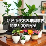 职场中该不该与同事做朋友?真相揭秘(图2) 职场中该不该与同事做朋友?真相揭秘(图2)