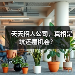 天天招人公司,真相是坑还是机会?(图1) 天天招人公司,真相是坑还是机会?(图1)