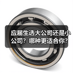 应届生选大公司还是小公司?哪种更适合你?(图1) 应届生选大公司还是小公司?哪种更适合你?(图1)