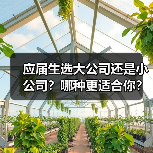 应届生选大公司还是小公司?哪种更适合你?(图4) 应届生选大公司还是小公司?哪种更适合你?(图4)