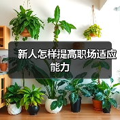 新人怎样提高职场适应能力(图2) 新人怎样提高职场适应能力(图2)