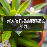 新人怎样提高职场适应能力(图4) 新人怎样提高职场适应能力(图4)