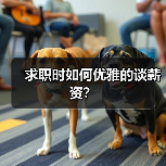 求职时如何优雅的谈薪资?(图3) 求职时如何优雅的谈薪资?(图3)
