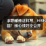 求职邮件这样写,HR秒回!核心技巧全公开(图1) 求职邮件这样写,HR秒回!核心技巧全公开(图1)