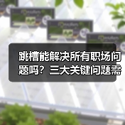 跳槽能解决所有职场问题吗?三大关键问题需自我突破(图3) 跳槽能解决所有职场问题吗?三大关键问题需自我突破(图3)