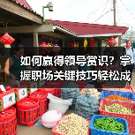 如何赢得领导赏识?掌握职场关键技巧轻松成为被看中的人(图2) 如何赢得领导赏识?掌握职场关键技巧轻松成为被看中的人(图2)