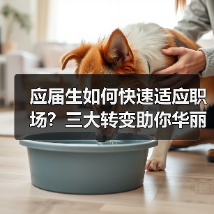 应届生如何快速适应职场?三大转变助你华丽转身(图3) 应届生如何快速适应职场?三大转变助你华丽转身(图3)