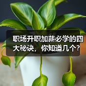 职场升职加薪必学的四大秘诀,你知道几个?(图3) 职场升职加薪必学的四大秘诀,你知道几个?(图3)