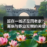 留在一线还是回老家?高薪与职业发展的关键抉择(图3) 留在一线还是回老家?高薪与职业发展的关键抉择(图3)