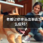 老板让你牵头改革该怎么应对?(图2) 老板让你牵头改革该怎么应对?(图2)