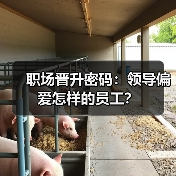 职场晋升密码:领导偏爱怎样的员工?(图1) 职场晋升密码:领导偏爱怎样的员工?(图1)