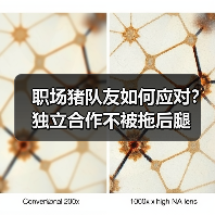 职场猪队友如何应对？独立合作不被拖后腿（图3）