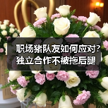 职场猪队友如何应对？独立合作不被拖后腿（图4）