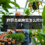 辞职高薪挽留怎么应对？（图2）