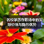 名校学历在职场中的实际价值与隐形优势（图4）