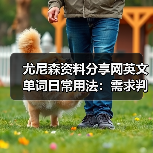 尤尼森资料分享网英文单词日常用法：需求判断到维护5步法