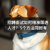 招聘面试如何精准筛选人才？5个方法同时考察能力与稳定性（图1）