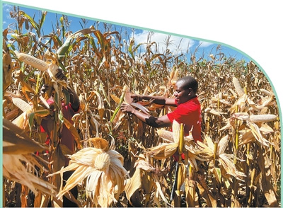 医疗科技行业年度评选启动 新技术引领行业变革