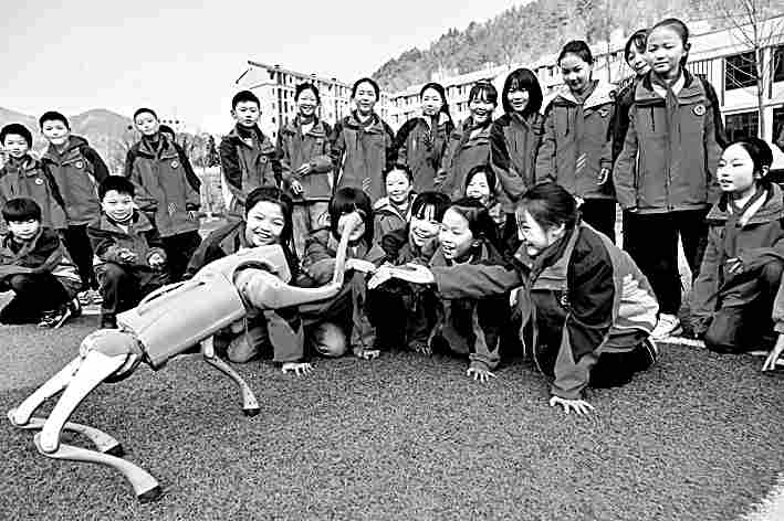 新型实验班助力拔尖创新人才成长路径解析