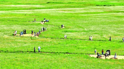 抗生素不仅杀细菌还伤免疫细胞，新研究揭示潜在危害机制