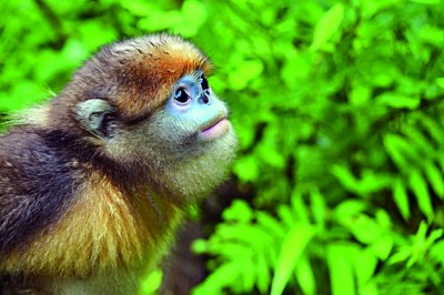 生物圈保护区——打造人与自然和谐共生样板