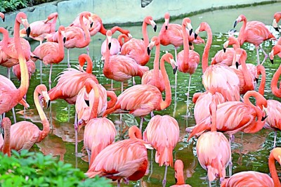 生物圈保护区——打造人与自然和谐共生样板