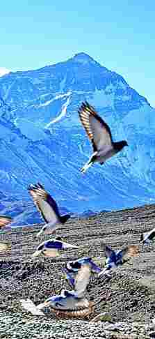 生物圈保护区——打造人与自然和谐共生样板