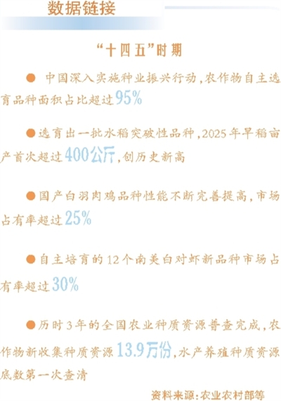 中国种业振兴成果显著，自主培育品种助力粮食安全
