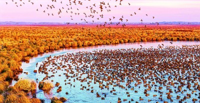 我国5G基站数达483.8万个 平均每万人拥有34.4个