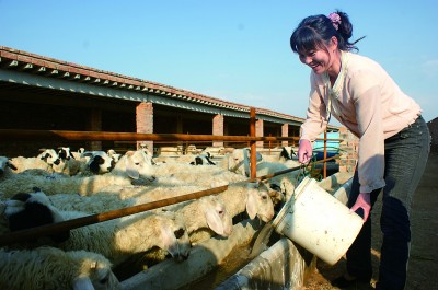 宁夏吴忠市盐池县马儿庄村：绿了家园 富了村民