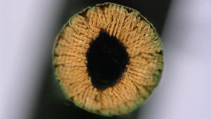 春雨医生任命原华润医疗高管张琨为新CEO