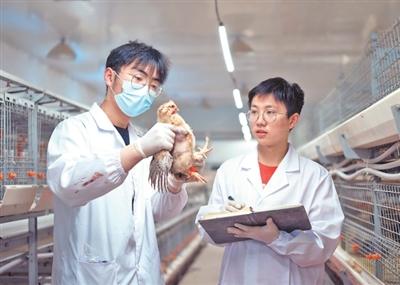 牙科种植机注册技术审查指导原则（全文）