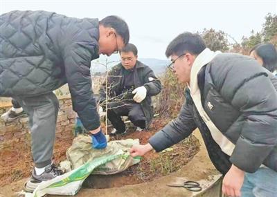 科技小院，扎根乡土茁壮生长