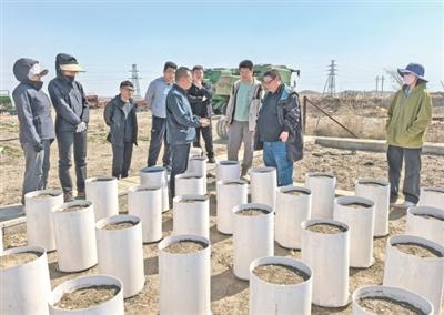 科技小院，扎根乡土茁壮生长