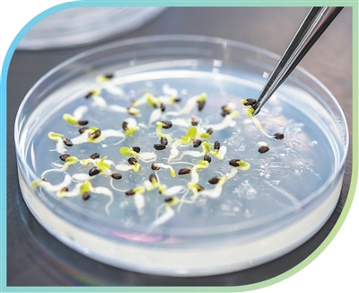 DNA驱动技术制备可调谐光学超材料新突破