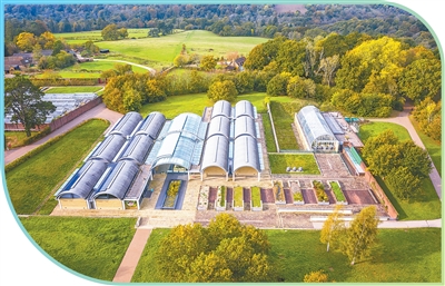 备份一粒种子，守护多样未来