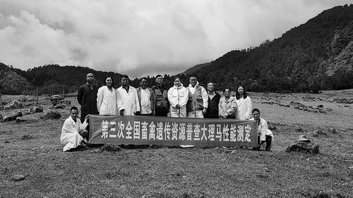 他们的科研为何上演“抓马”剧情