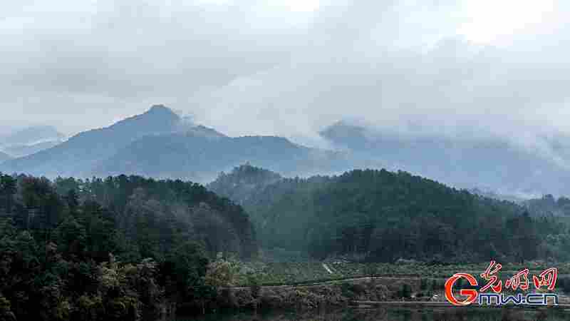 新春走基层｜三明有片“医疗碳汇林”