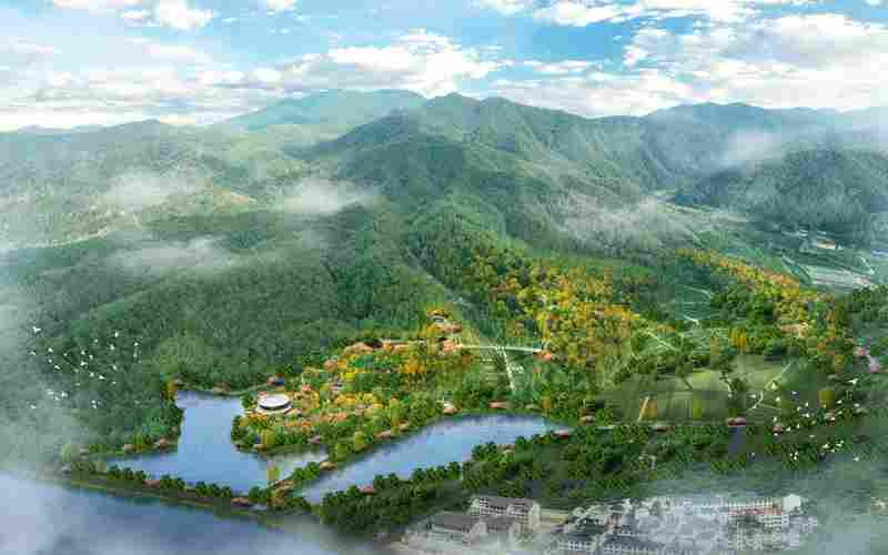 新春走基层｜三明有片“医疗碳汇林”