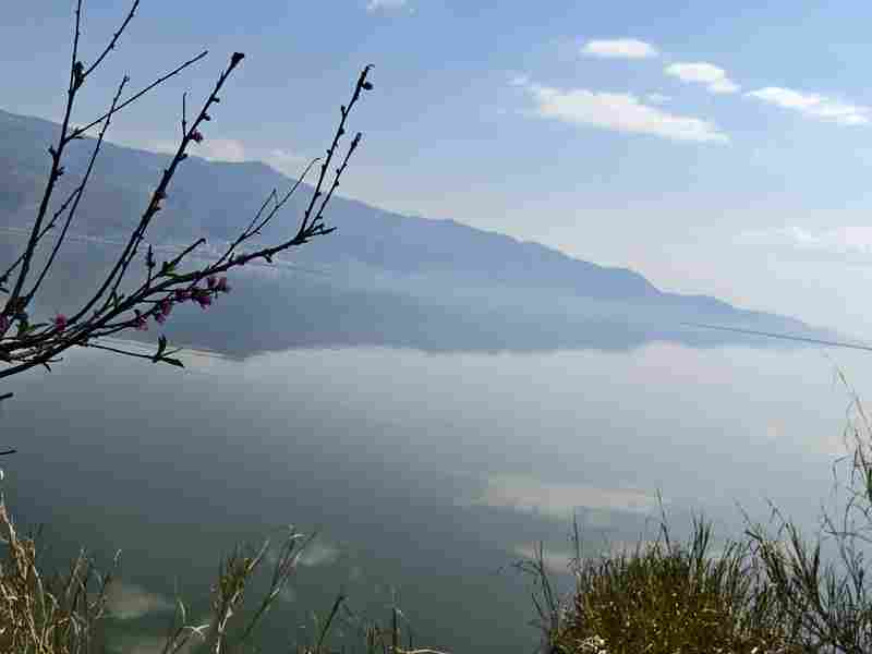 中国结核病科普智库研究专家研讨会在京召开